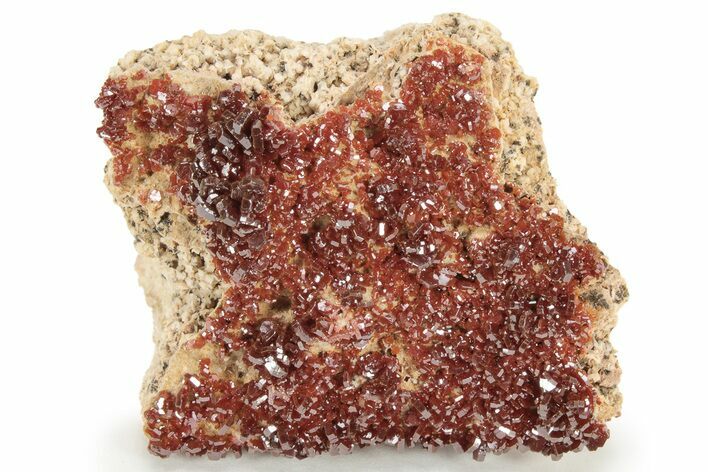 Glittering, Ruby Red Vanadinite Crystals on Barite - Morocco #233946